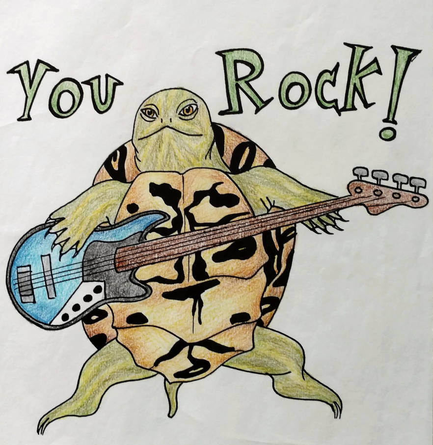 Rock n Roll Turtle by FireflyofBlue on DeviantArt