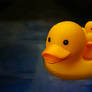 Rubber Duckie You're the One