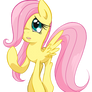 Filly Flutters