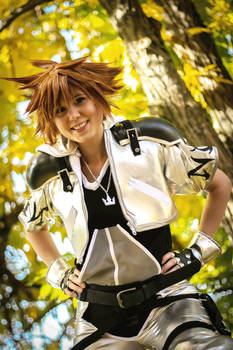 KH 2 - Sora Final Form: Silver and Gold