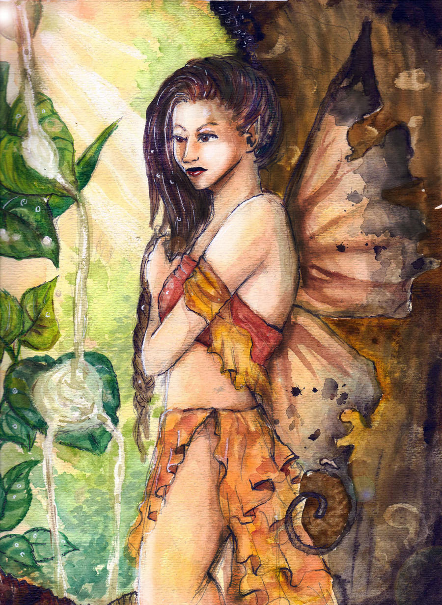 Morning Fairie