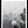 New York Rain