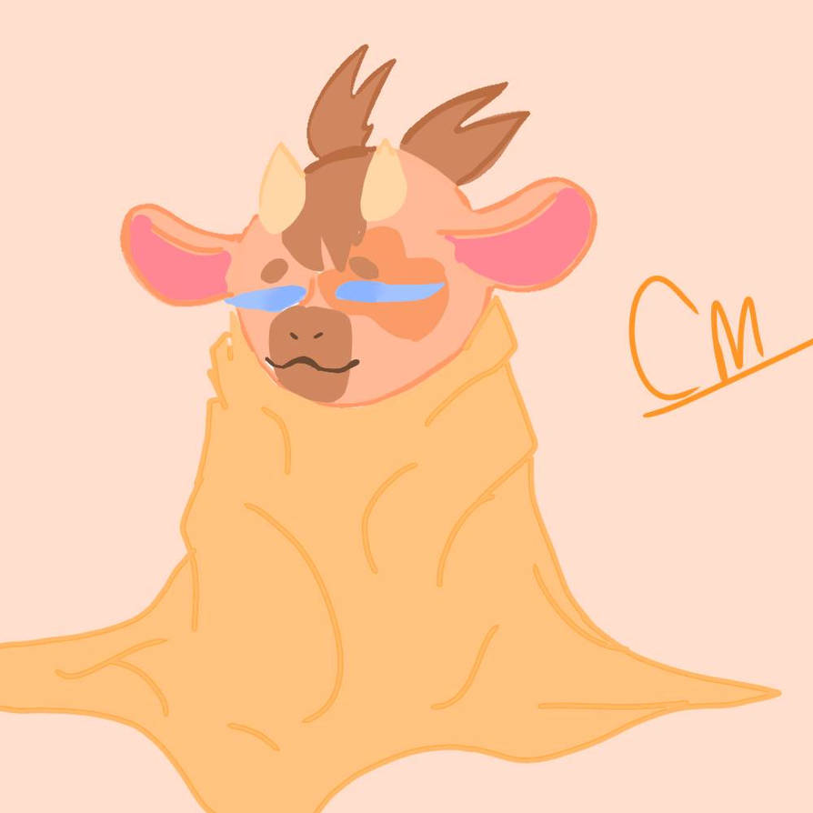 Cow In A Blanket Cow In A Blanket