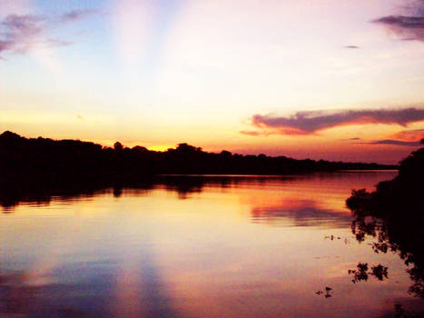 Amazon Sunset