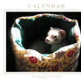 Ferrets Calendar -1-