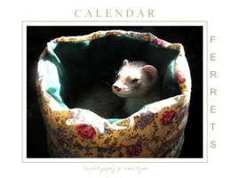 Ferrets Calendar -1-