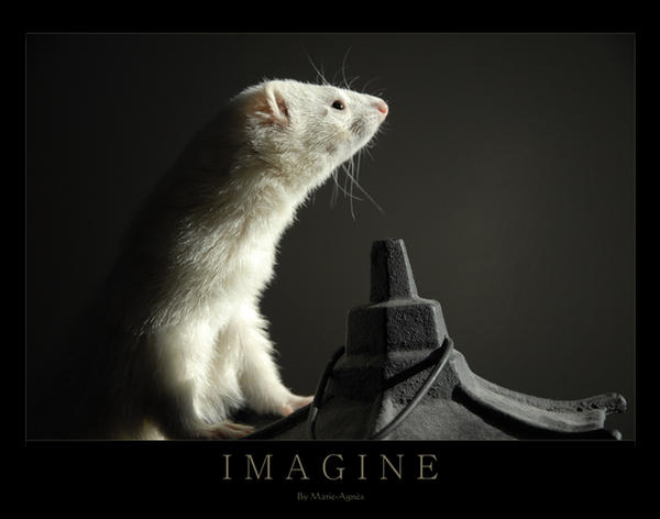 Imagine by Yukkabelle