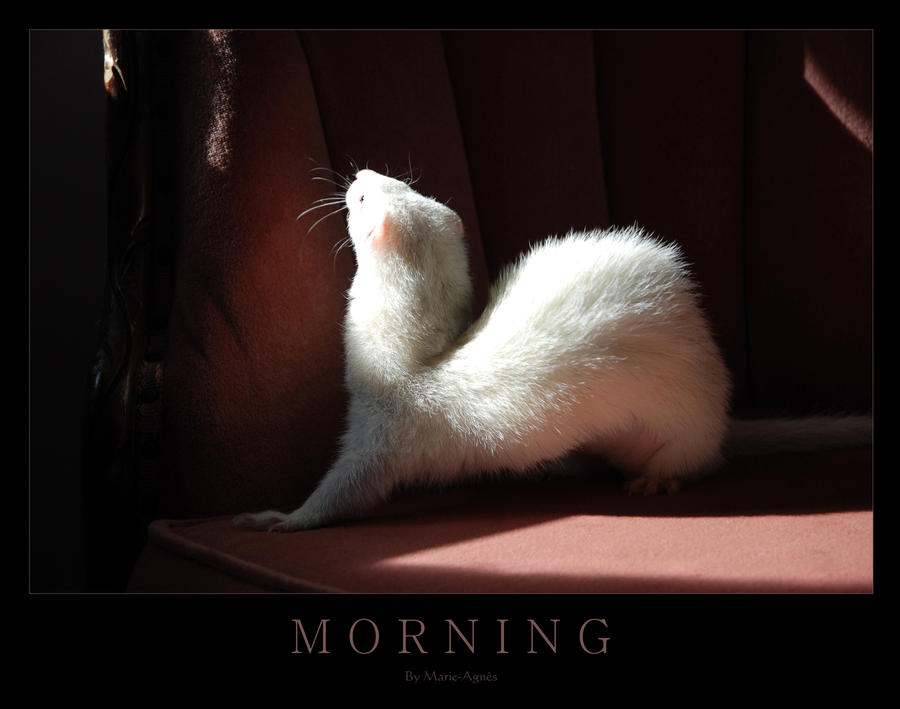 Morning by Yukkabelle