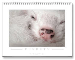 Ferrets Calendar - 2nd edition