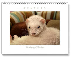 Ferrets Calendar -3 -