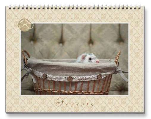 Ferrets Calendar - 4 -
