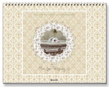 Ferrets Calendar - 4 - Back cover