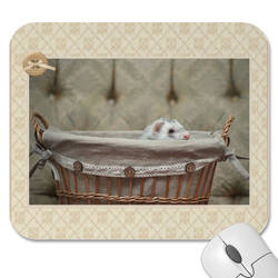 My Little Basket - Ferret mousepad -