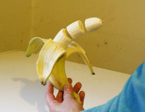 Would You Like A Banana Matthew?