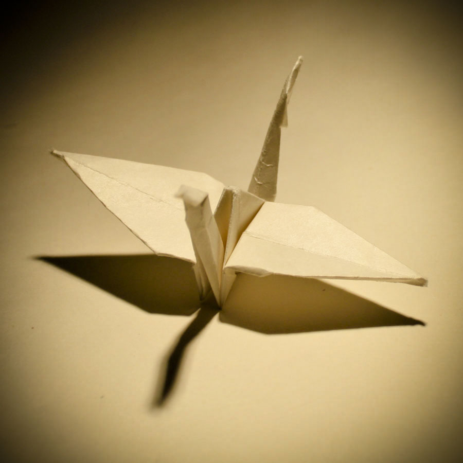 Paper Bird Wants to Fly