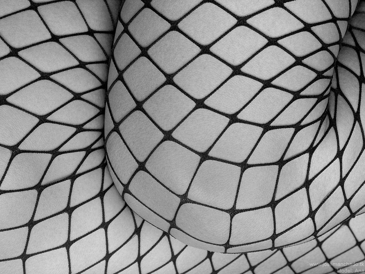 Fishnet landscape