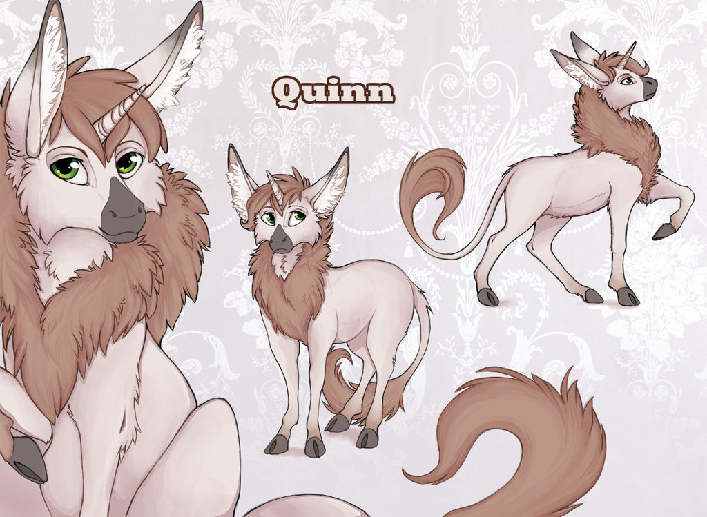 Quinn ref. 1.0