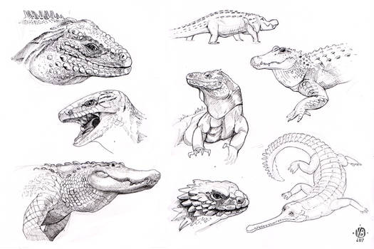 Reptiles study