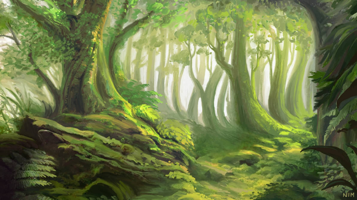 Forest by Nimphradora on DeviantArt