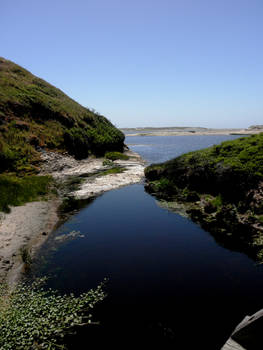 Point Reyes