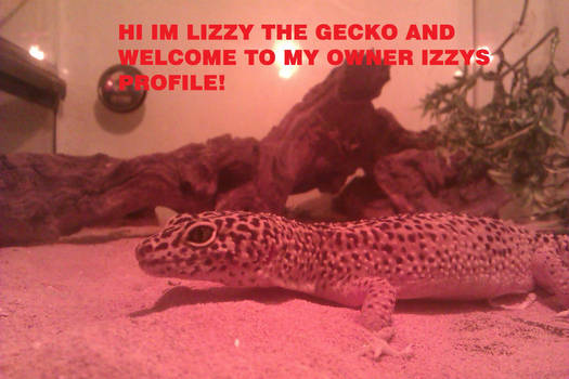 lizzy the gecko