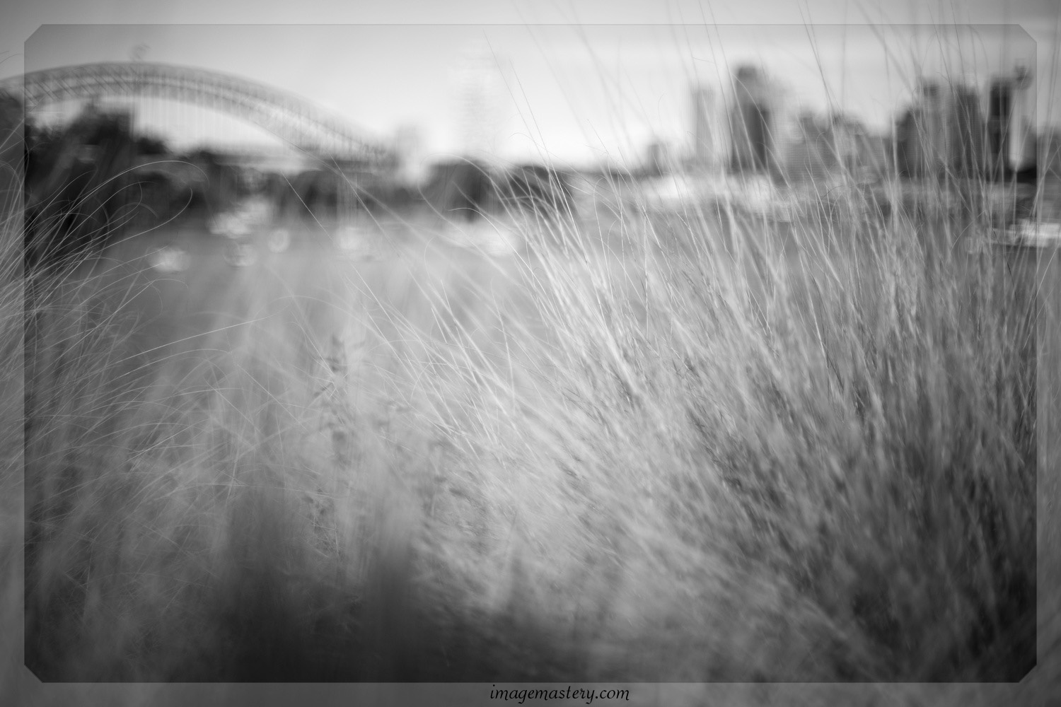 50mm: Harbour bridge