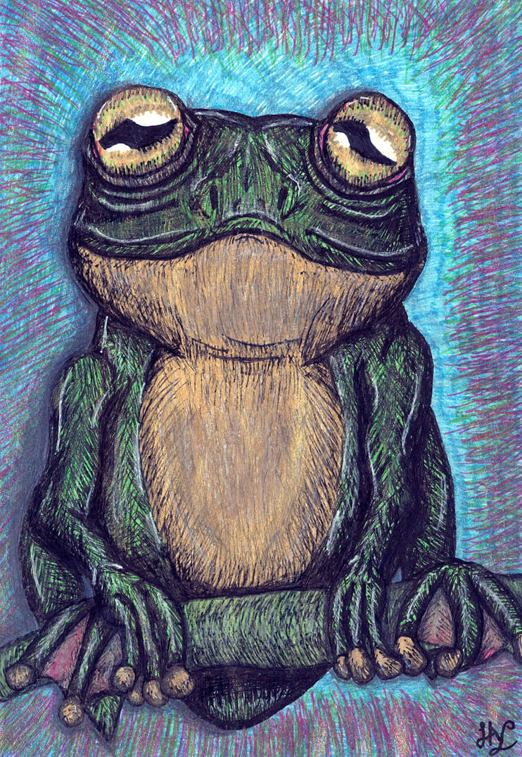 Frog by hyerdon on DeviantArt