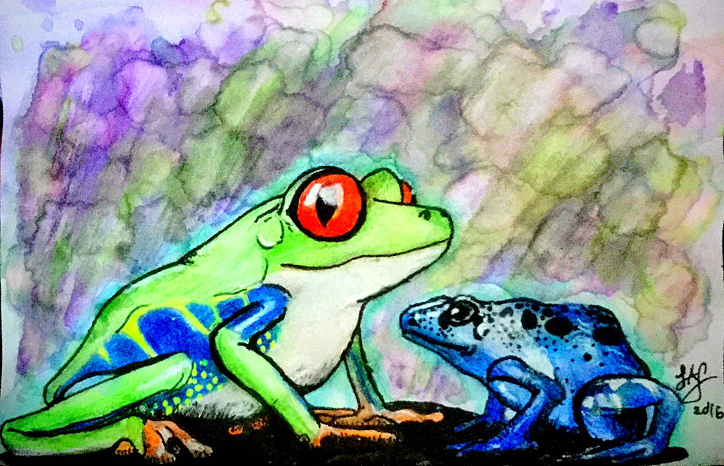Frogs by hyerdon on DeviantArt