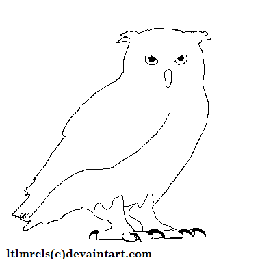 Owl Lineart