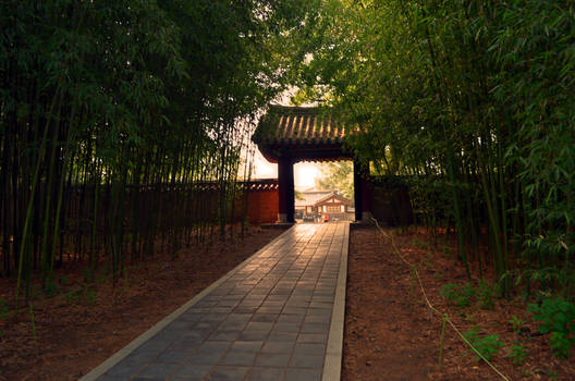 Bamboo - Jeonju Hanok Village