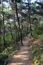 Geumdang Mountain Path