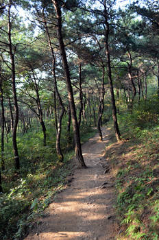 Geumdang Mountain Path