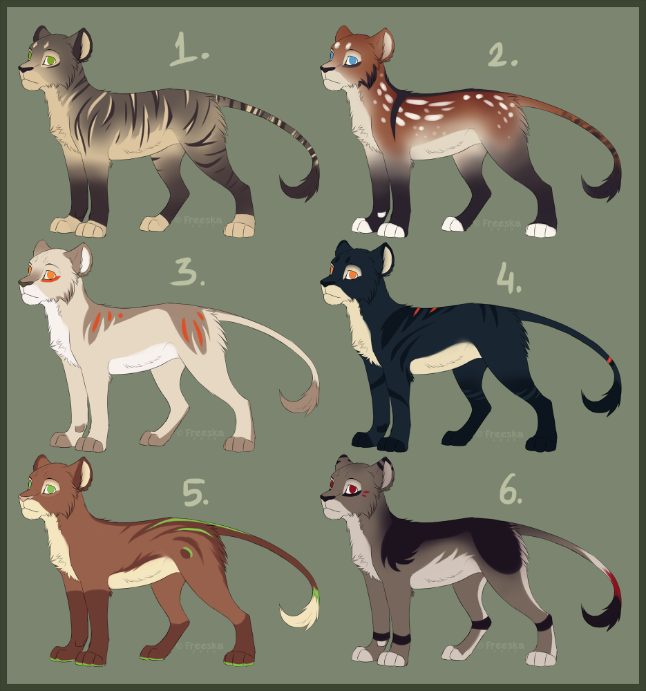 Lion cub adopts [open]