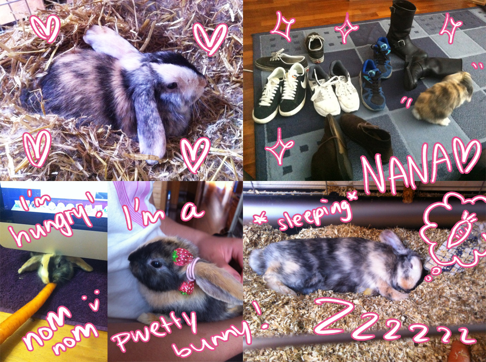 My bunny NANA