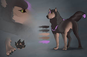 Crowley Canine Reference