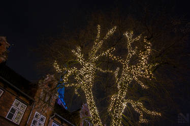 Christmas lights at tree