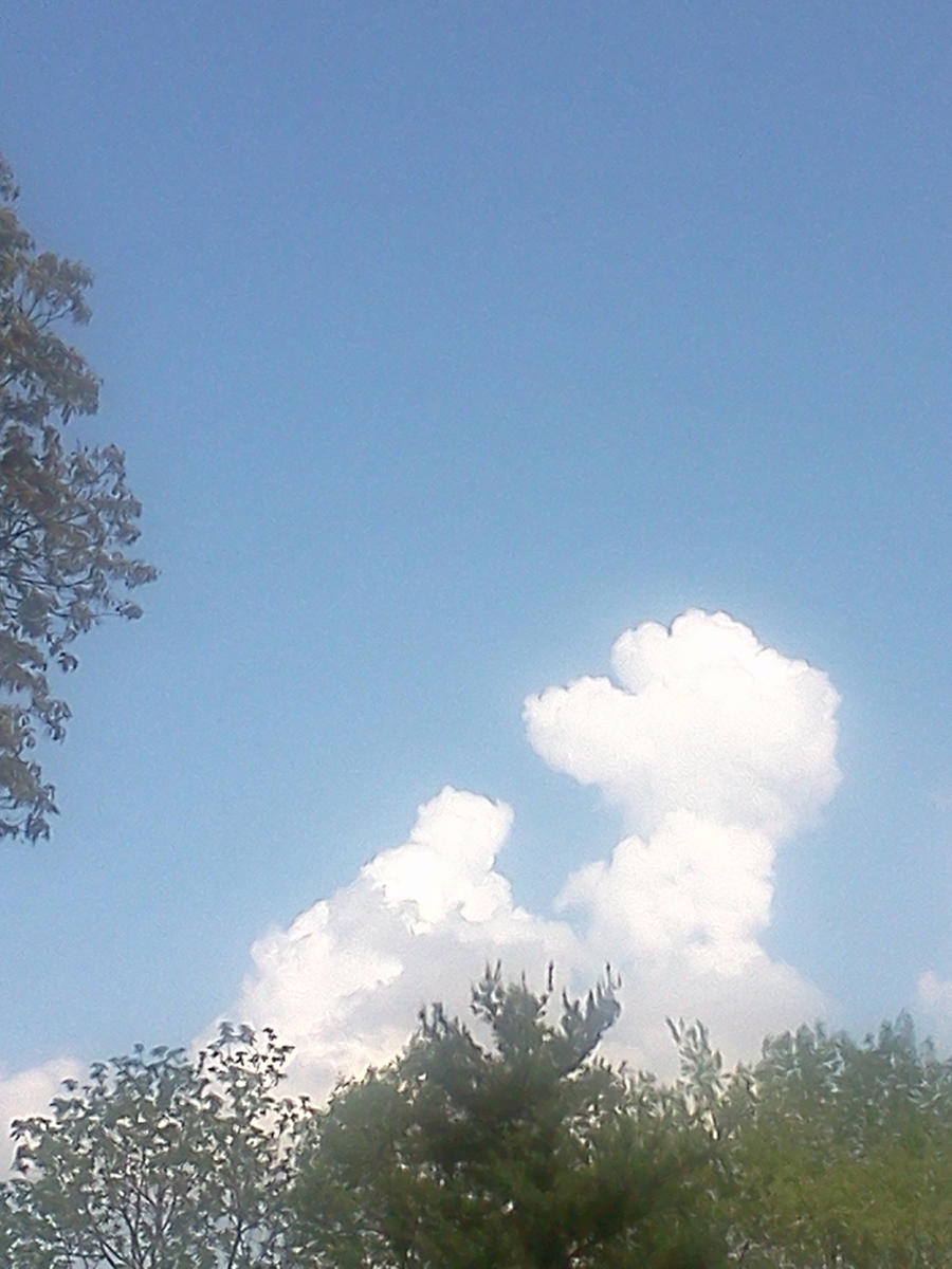 Poodle Cloud