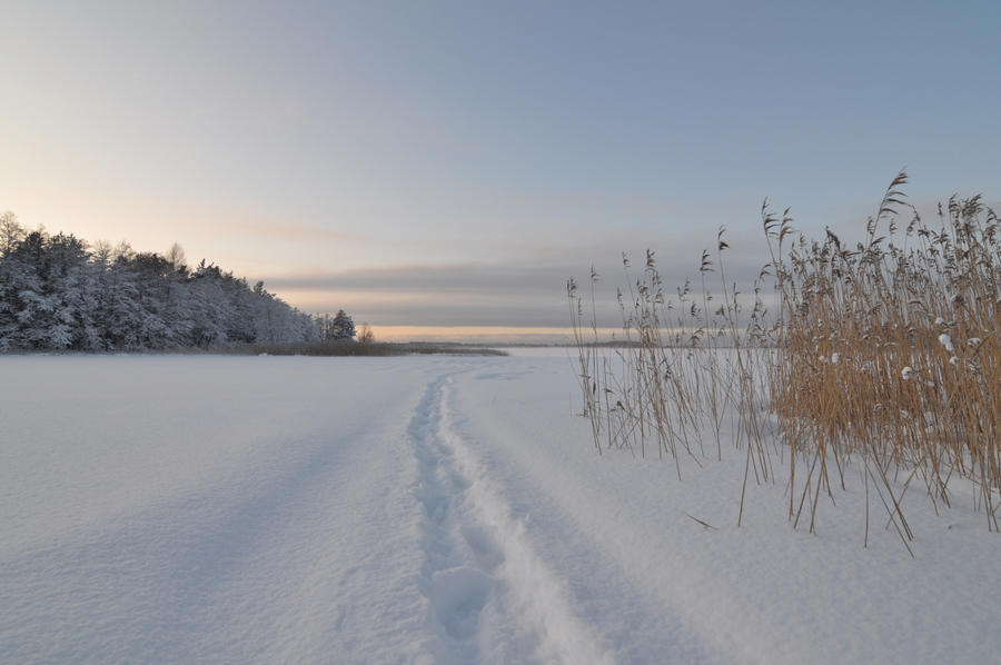 Path on Ice by sudd on DeviantArt