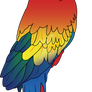 Macaw - vectorised