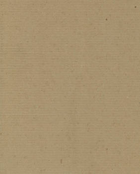 Cardboard Texture 1