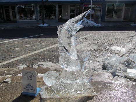 Swordfish (Saint Joesph Ice Festival)