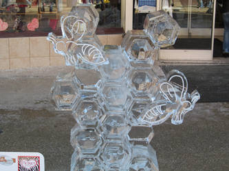 Honeycomb (Saint Joseph Ice Festival)