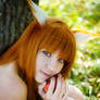 Horo, Spice and Wolf