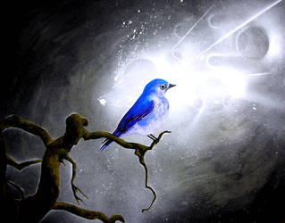 BluebirdSingingInTheDeadOfNite