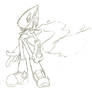 phantom rider Sonic