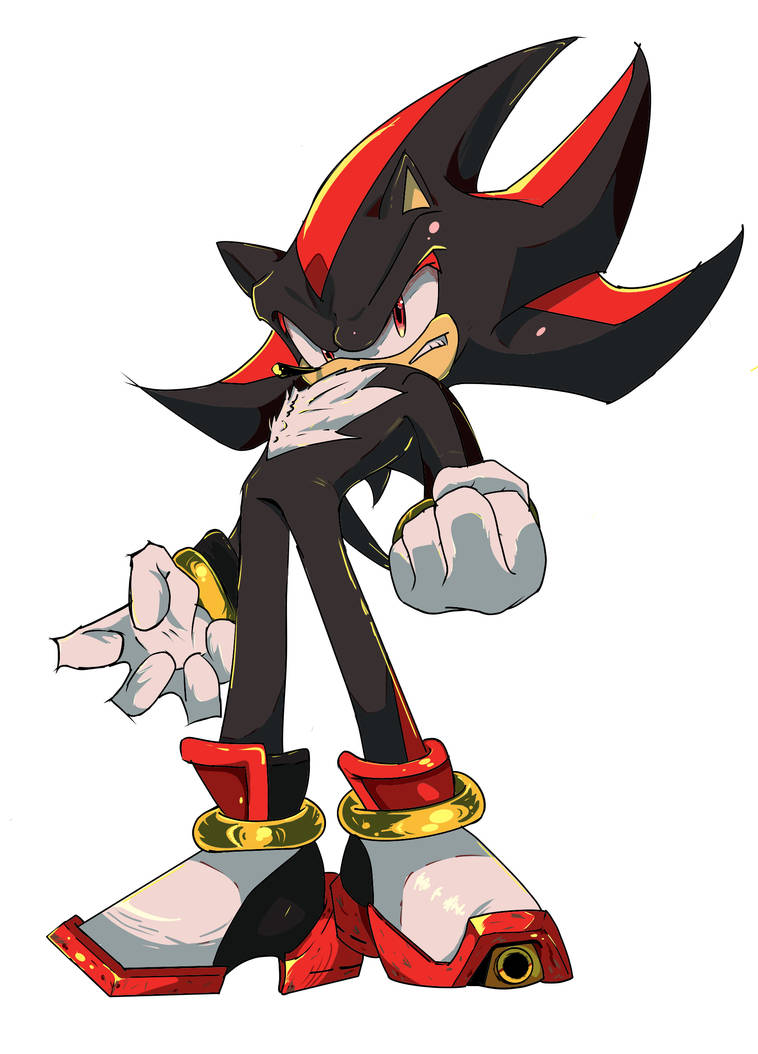 shadow drawing finally complete!! by chaodude123 on DeviantArt