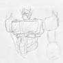 Optimus practice