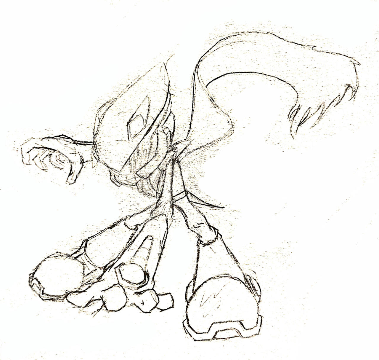 Phantom rider