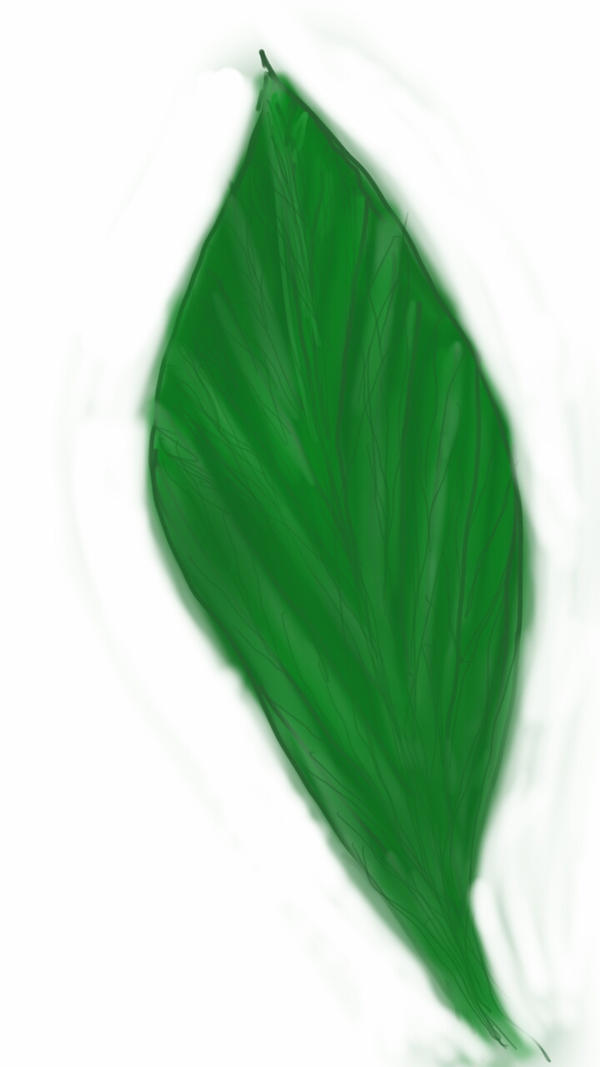 NATURAL TEXTURE: LEAVES by hayaker on DeviantArt