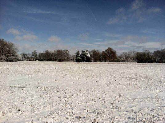 White Blanket